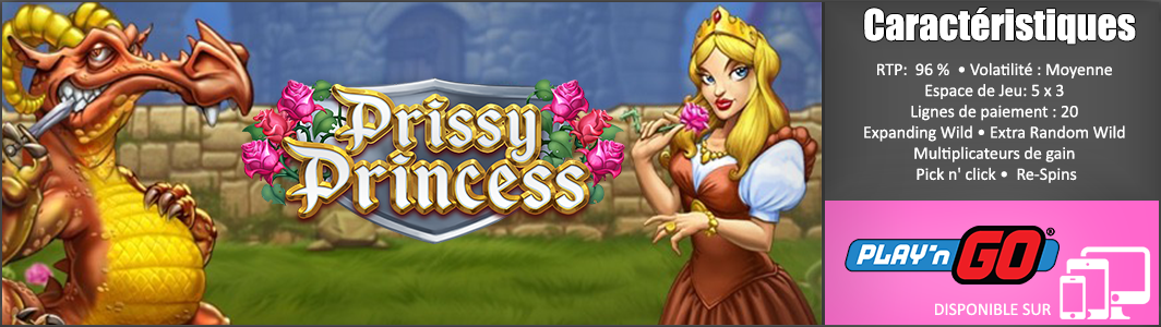 GAME-INFO-BANNER-PRISSY-PRINCESS-PLAY-N-GO